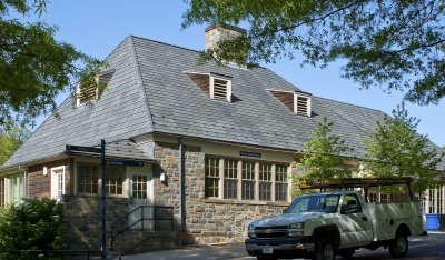 фото LUDOWICI AMERICANA (SLATE GRAY)